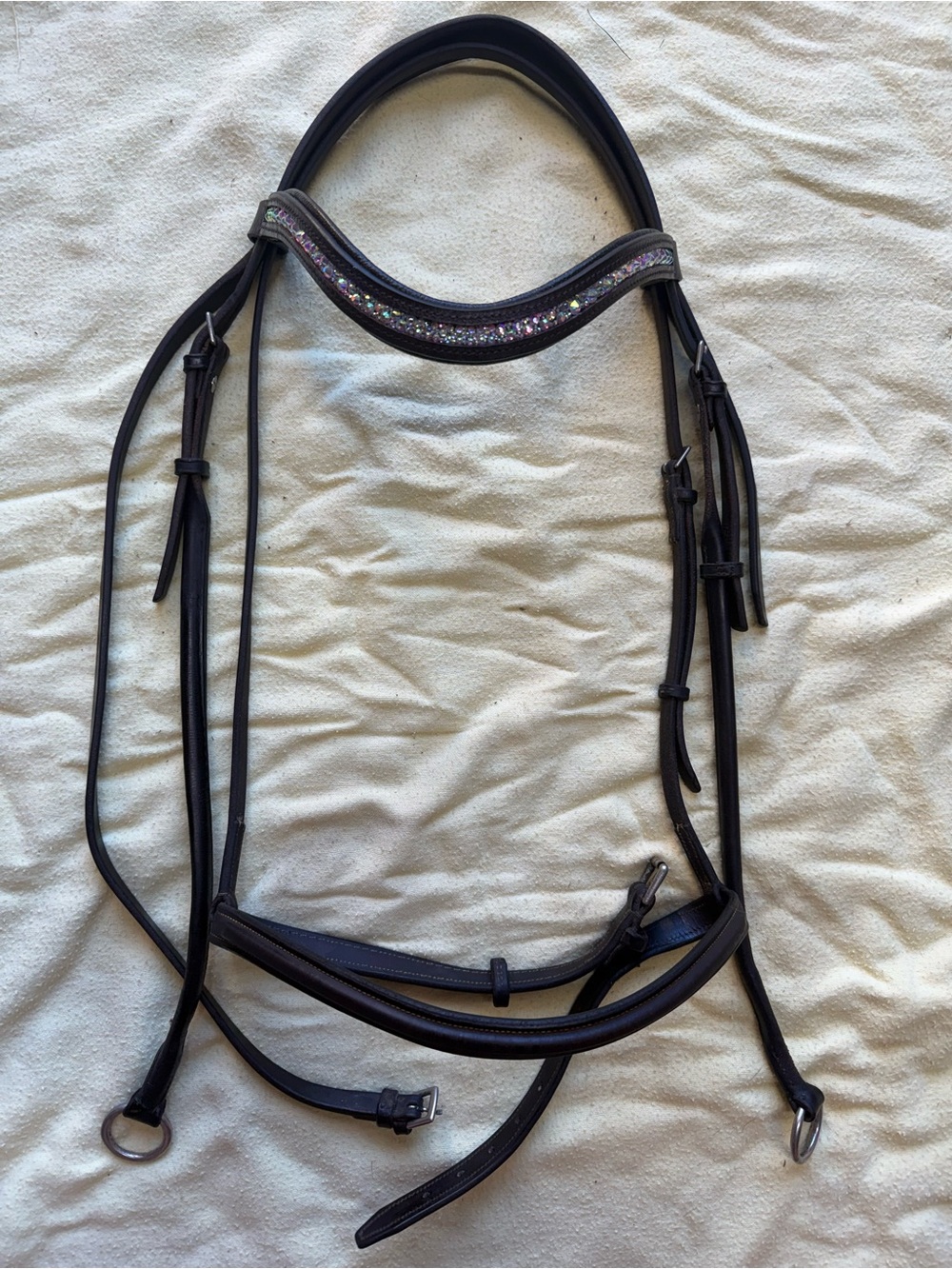 Oversized sliding gag bridle